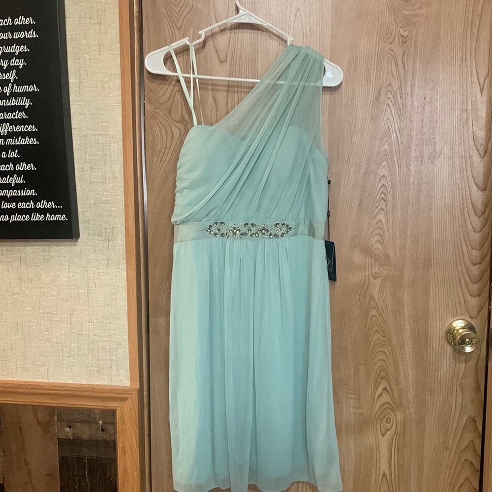 NWT Adrianna Papell beautiful mint colored, one shoulder, stretch, tulle dress